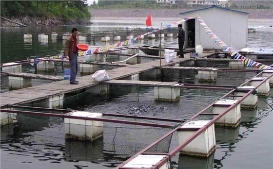 生物质蒸汽发生器