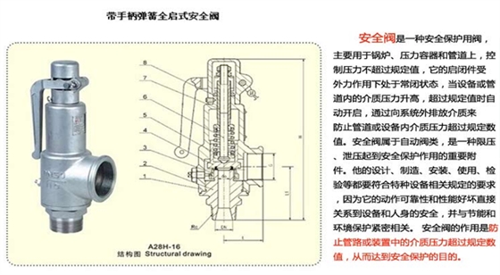 蒸汽发生器安全阀